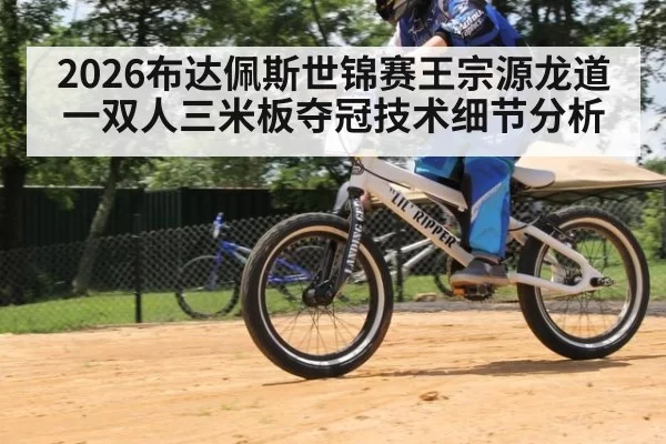 2026布达佩斯世锦赛王宗源龙道一双人三米板夺冠技术细节分析