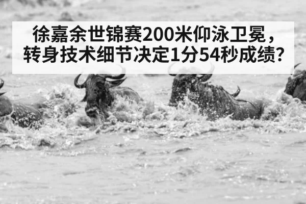徐嘉余世锦赛200米仰泳卫冕,转身技术细节决定1分54秒成绩?