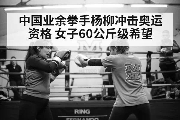 中国业余拳手杨柳冲击奥运资格 女子60公斤级希望
